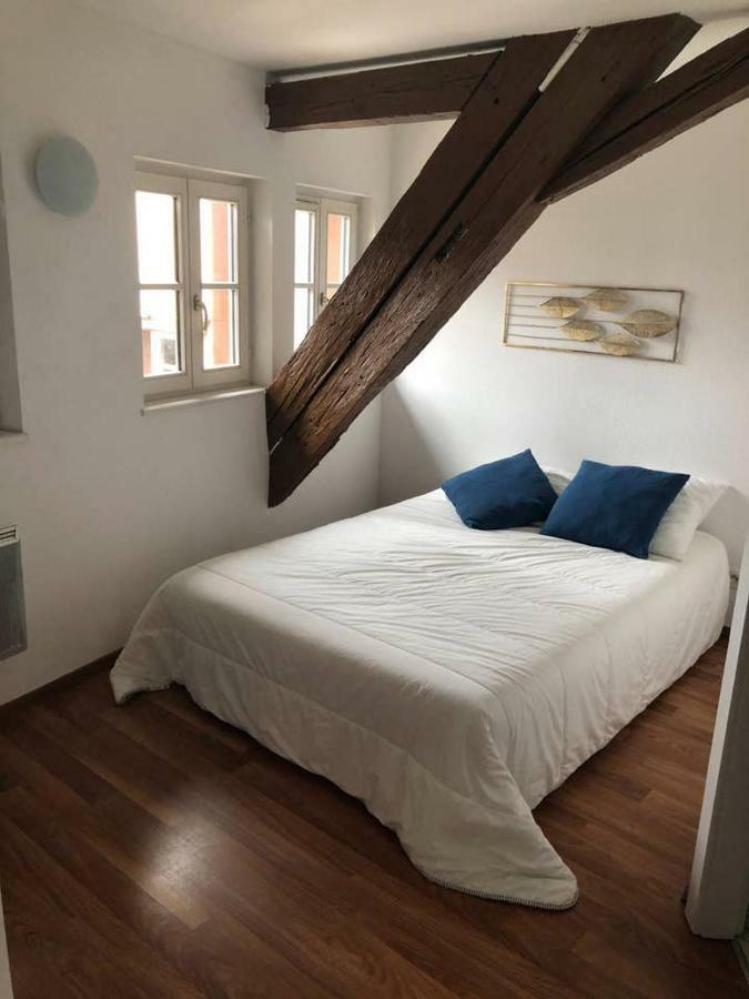 Appartement Avec Balcon Centre Ville Strasbourg Extérieur photo
