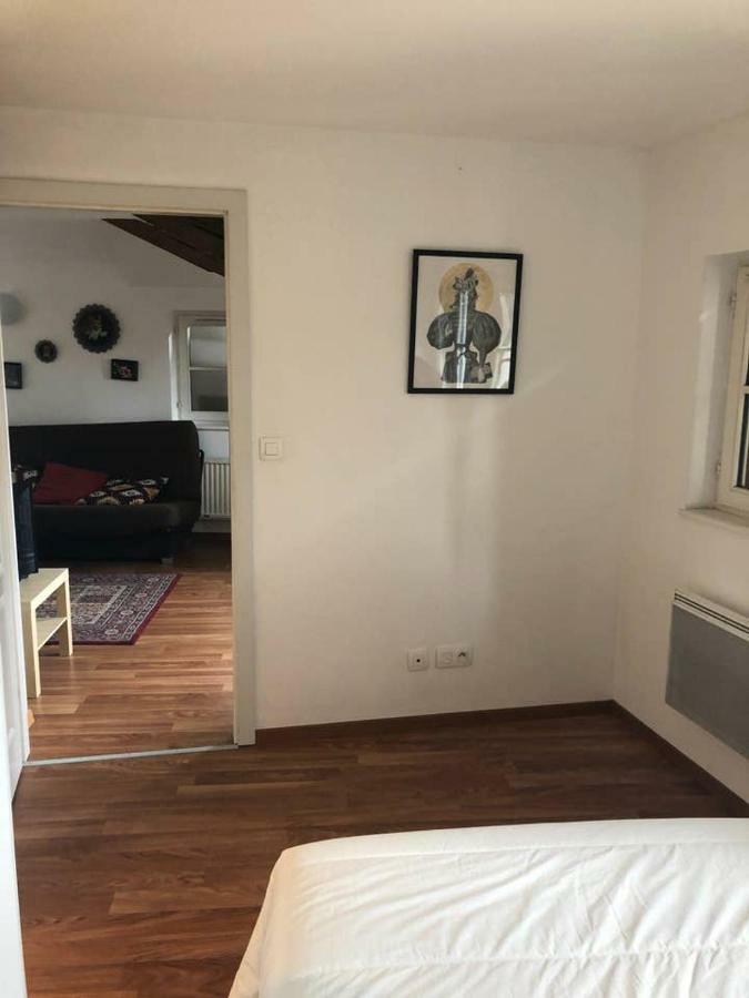 Appartement Avec Balcon Centre Ville Strasbourg Extérieur photo